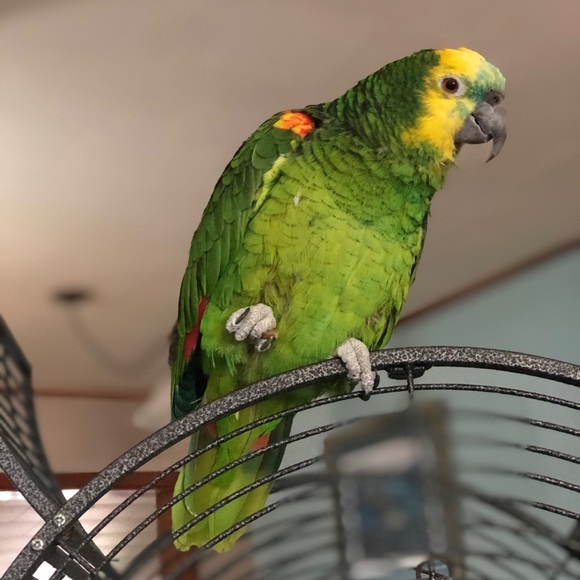 Meet your Posher, Terra - Picture 8 of 8